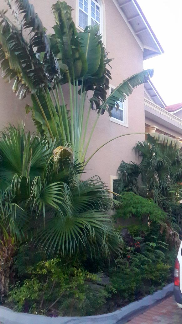 Featured Property Photo