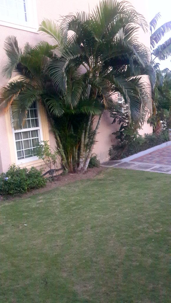 Featured Property Photo